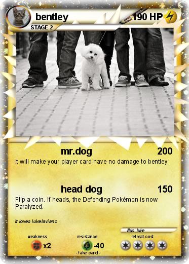 Pokemon bentley