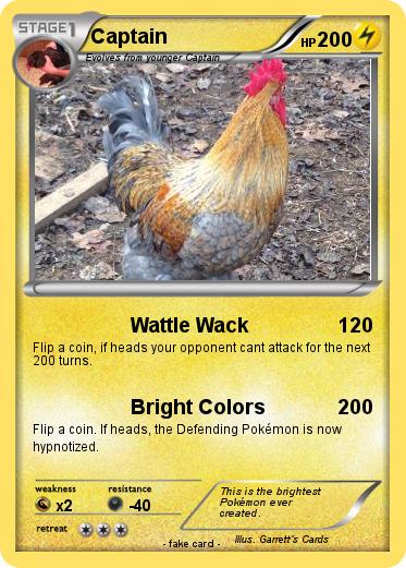 Pokemon Captain