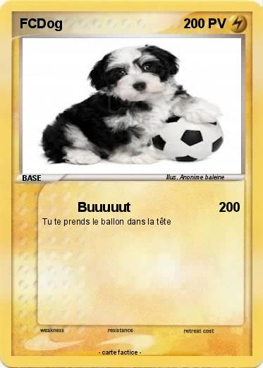 Pokemon FCDog