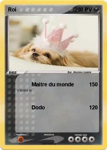 Pokemon Roi