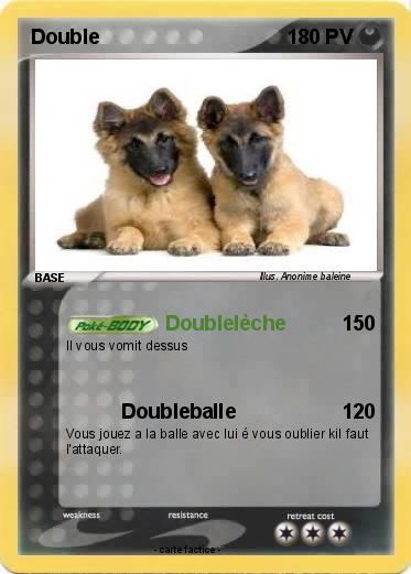 Pokemon Double