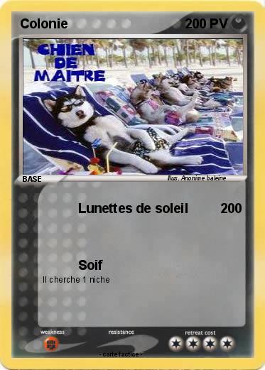 Pokemon Colonie