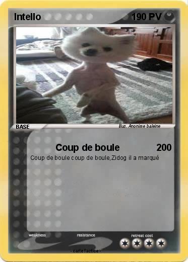 Pokemon Intello