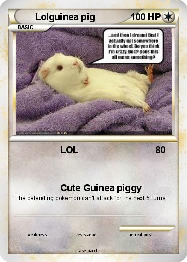 Pokemon Lolguinea pig