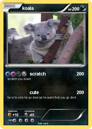 Pokemon koala