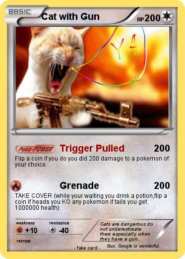 Pokemon Cat with Gun