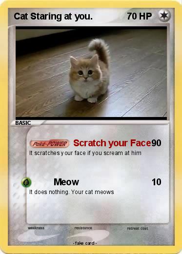 Pokemon Cat Staring at you.