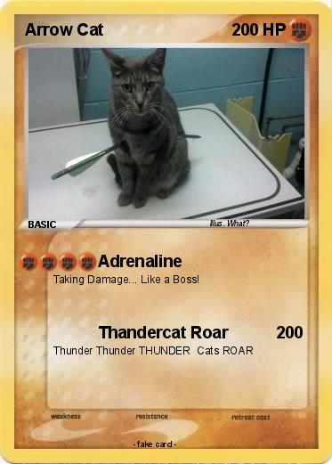 Pokemon Arrow Cat