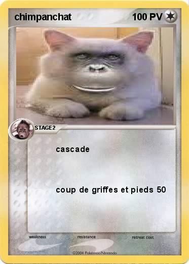 Pokemon chimpanchat