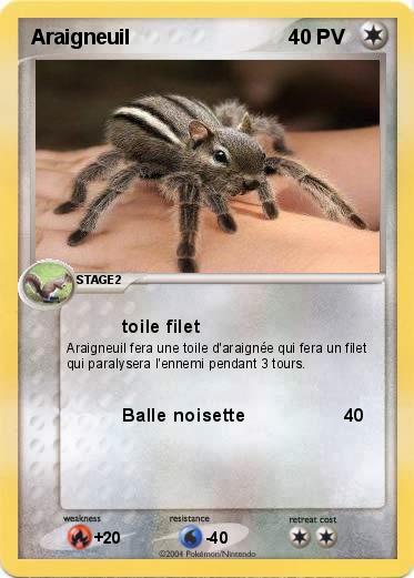 Pokemon Araigneuil