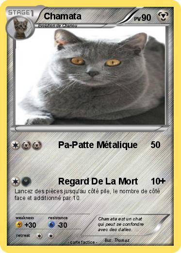 Pokemon Chamata
