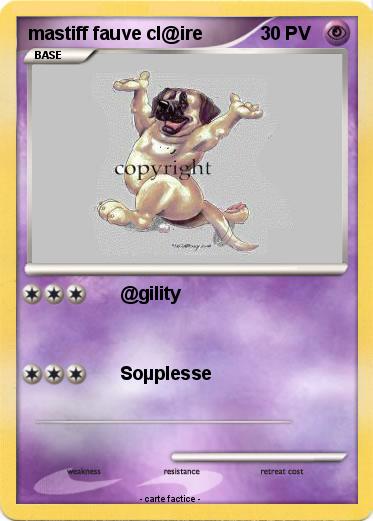 Pokemon mastiff fauve cl@ire