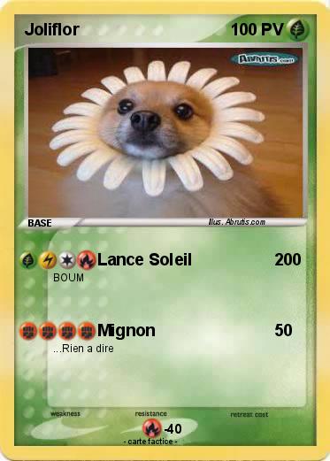 Pokemon Joliflor