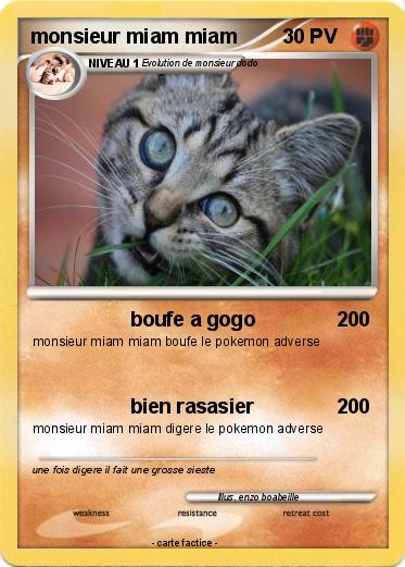 Pokemon monsieur miam miam