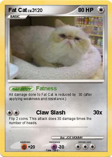 Pokemon Fat Cat