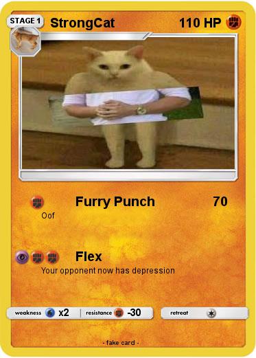 Pokemon StrongCat