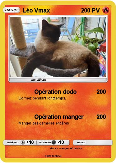 Pokemon Léo Vmax