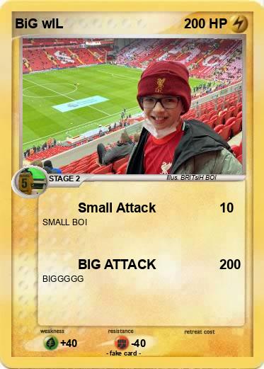 Pokemon BiG wIL