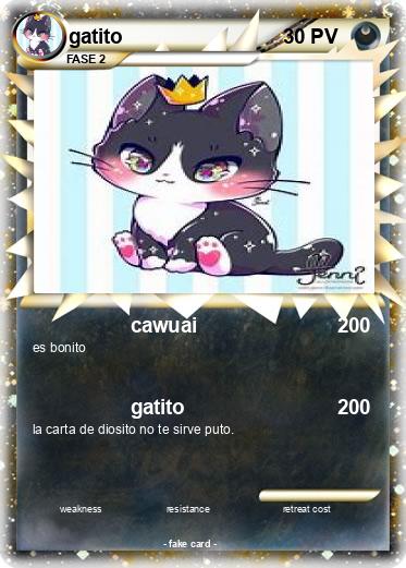 Pokemon gatito