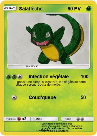 Pokemon Salaflèche