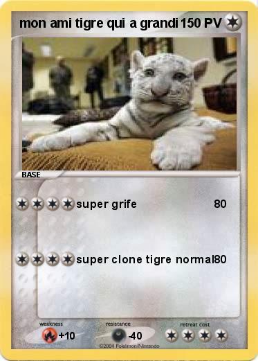 Pokemon mon ami tigre qui a grandi