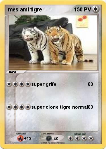 Pokemon mes ami tigre