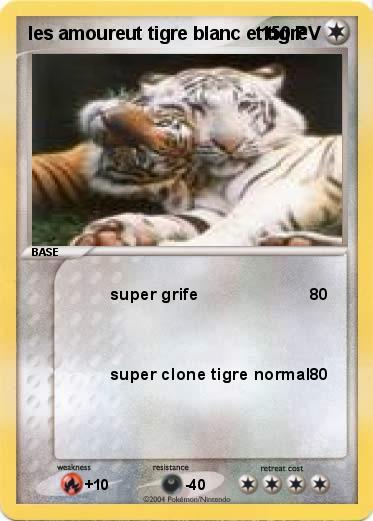 Pokemon les amoureut tigre blanc et tigre