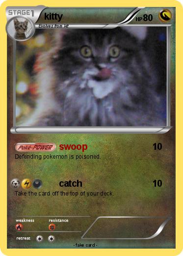 Pokemon kitty