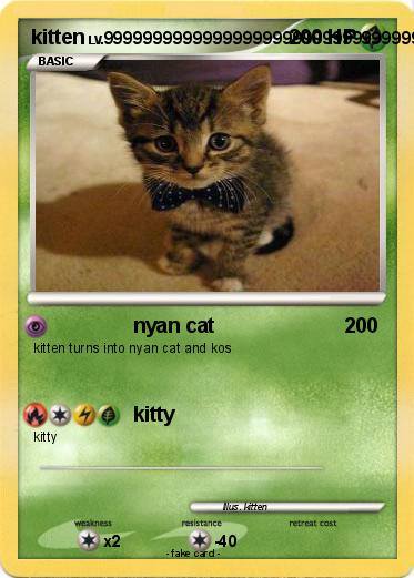 Pokemon kitten