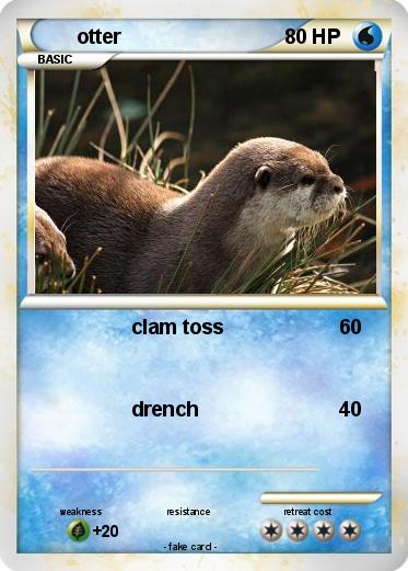 Pokemon otter