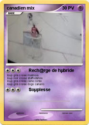 Pokemon canadien mix