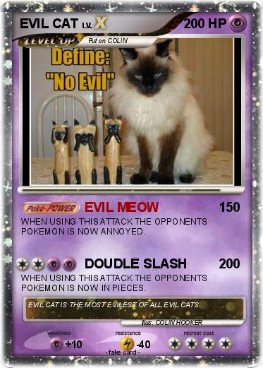 Pokemon EVIL CAT