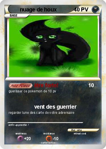 Pokemon nuage de houx