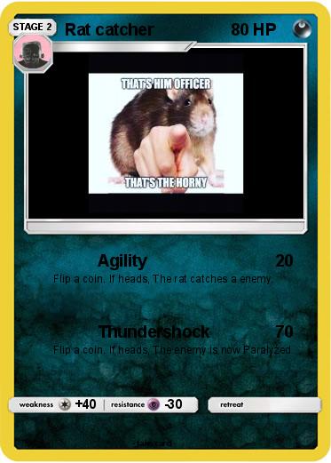 Pokemon Rat catcher