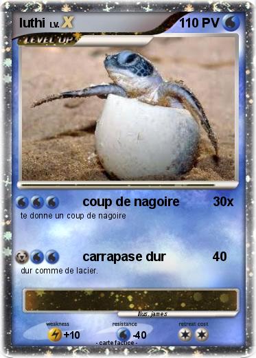 Pokemon luthi