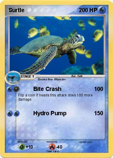 Pokemon Surtle