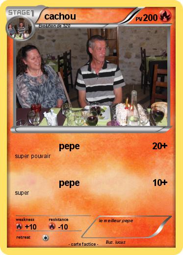 Pokemon cachou
