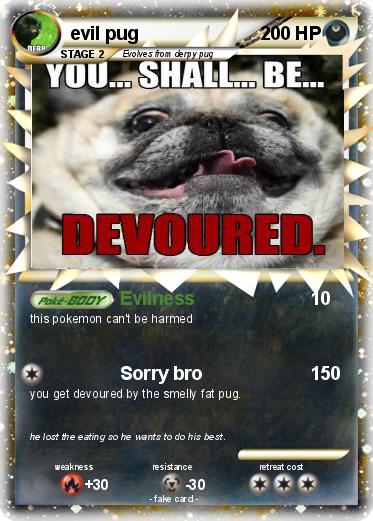 Pokemon evil pug