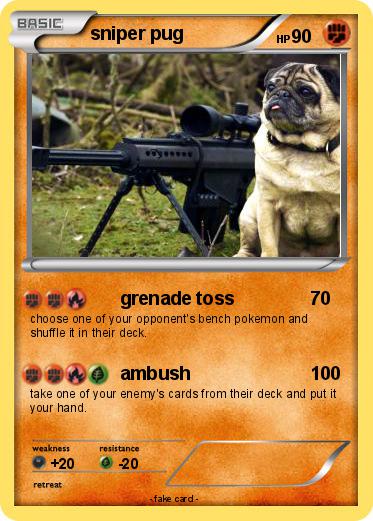 Pokemon sniper pug
