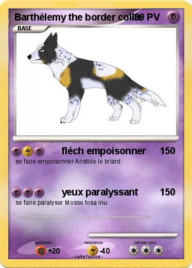 Pokemon Barthélemy the border collie