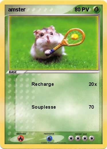Pokemon amster