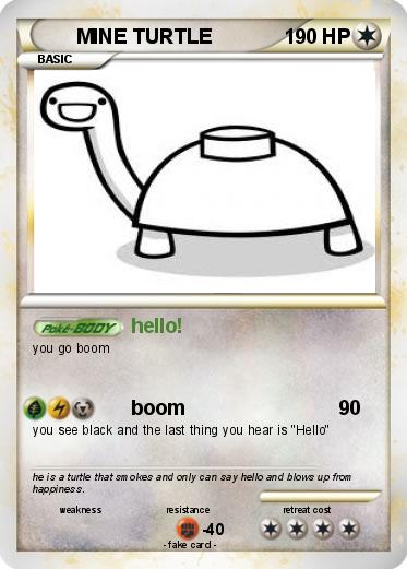 Pokemon MINE TURTLE