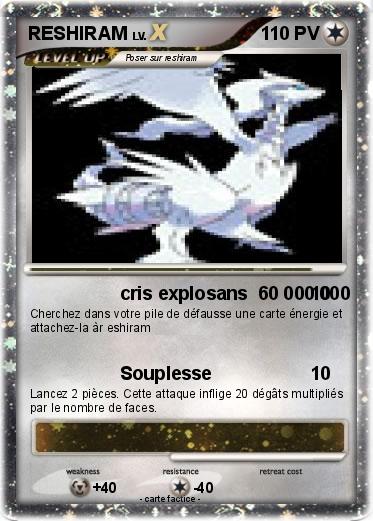 Pokemon RESHIRAM