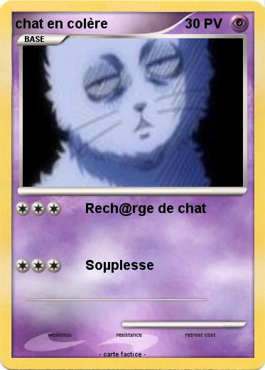 Pokemon chat en colère