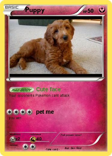 Pokemon Puppy