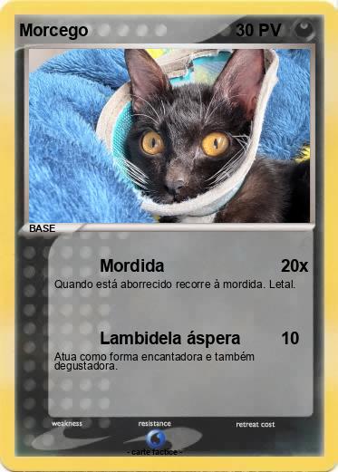 Pokemon Morcego