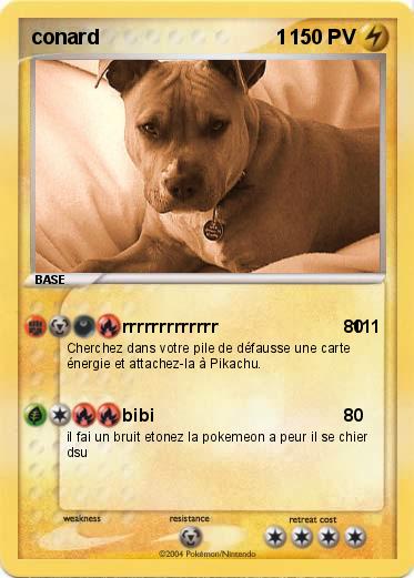 Pokemon conard                               1
