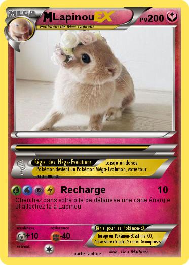 Pokemon Lapinou