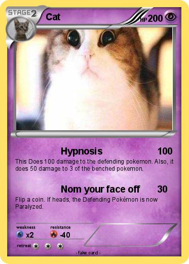 Pokemon Cat