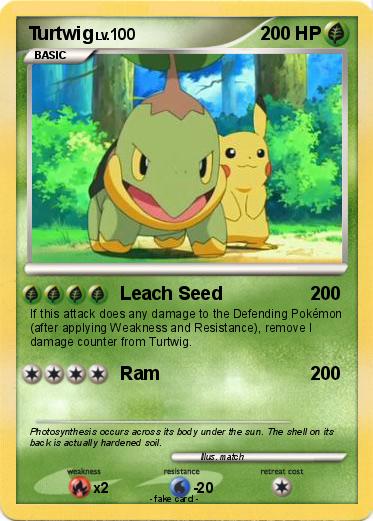 Pokemon Turtwig